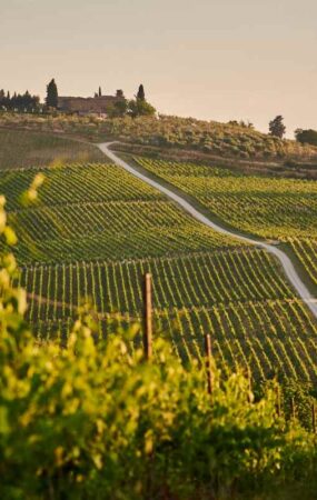 trekking-toscana-emilia-romagna